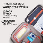 Fornax - Image 4