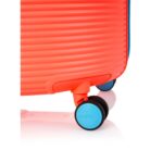 Rollio - Image 5